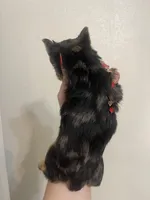 Merle female, a female Yorkshire Terrier for sale in San Antonio, TX – Photo 3 of 4