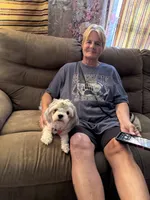 Willow, a female Shih Tzu and Poodle - Toy  for sale in Calhoun, GA – 1 of 2