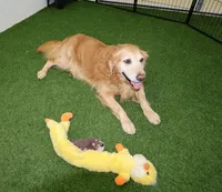 processed/79fc4831-077a-47f5-8c9c-19145b9bd13d/listing/e0011384-2ab6-41f0-8766-623fae38d39d/18a9736d-8e31-4201-b603-96edc081b53d