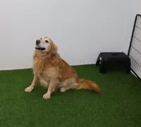 processed/79fc4831-077a-47f5-8c9c-19145b9bd13d/listing/e0011384-2ab6-41f0-8766-623fae38d39d/ae251a5c-ec6f-4838-94c7-92974b9698bf