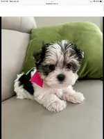 processed/79fdade7-66fc-4419-a80d-0b9fbfe780e2/facility/47a3af97-277e-4ada-9567-49f31b48389d