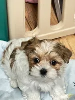 processed/79fdade7-66fc-4419-a80d-0b9fbfe780e2/facility/48458143-fe97-4e3b-b381-3343f18312f8