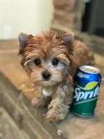 processed/79fdade7-66fc-4419-a80d-0b9fbfe780e2/facility/5bf09a09-de14-4aa4-87cc-079df13a99f1