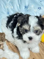 processed/79fdade7-66fc-4419-a80d-0b9fbfe780e2/facility/9e5c47a6-bdaf-4758-b164-91f42cfb62cf