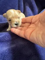 processed/79fdade7-66fc-4419-a80d-0b9fbfe780e2/facility/f9bc0f87-22fb-460c-b289-6f115400ff91