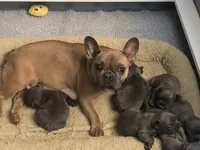 processed/79fdaed1-fdfe-43e5-b08e-860f0417082f/facility/89fc5207-486d-4022-a357-dca44838eff8