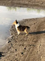 processed/79fdaed1-fdfe-43e5-b08e-860f0417082f/facility/b057ae56-2d81-46bf-bccb-cd1910d951f6