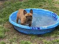 processed/79fdaed1-fdfe-43e5-b08e-860f0417082f/facility/cf4c52e8-9e28-4fba-8e44-404b077540ef