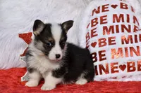 processed/79fdaed1-fdfe-43e5-b08e-860f0417082f/listing/1b90eee7-32b7-4441-9b97-dd14710ea29b/08da8d6c-21be-4ce9-bafd-b4a88494e7d2