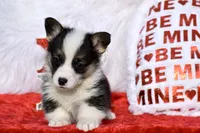 processed/79fdaed1-fdfe-43e5-b08e-860f0417082f/listing/1b90eee7-32b7-4441-9b97-dd14710ea29b/1a417c67-d087-44a6-866c-953ae9ea6731