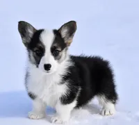 processed/79fdaed1-fdfe-43e5-b08e-860f0417082f/listing/1b90eee7-32b7-4441-9b97-dd14710ea29b/4caaa1f0-e068-444a-a43b-a41f6822363a