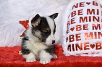 processed/79fdaed1-fdfe-43e5-b08e-860f0417082f/listing/1b90eee7-32b7-4441-9b97-dd14710ea29b/aaf3321a-cc5c-42a5-aef1-6ffbfbf53c2d