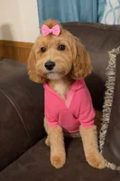 processed/79ffe457-76aa-44d5-899e-8513f7a6cd90/facility/f2375c2c-1e03-4d1b-8e64-8bd66389cb47