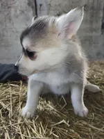 processed/7a084be1-4182-4a3b-8fbf-4d8cdae4bb6c/listing/3c8c8dab-5cc9-454d-a3b8-33a1b3ea0f61/5c38ed43-f360-4d8d-aadc-42144e56a0fb