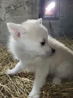 processed/7a084be1-4182-4a3b-8fbf-4d8cdae4bb6c/listing/c23b2823-da32-417a-8a02-99d3646965bc/9854f115-c181-4686-bd4a-2e49686f08f6