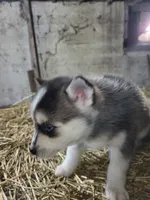 processed/7a084be1-4182-4a3b-8fbf-4d8cdae4bb6c/listing/fd198a8c-22a6-4d60-9614-1e9c8908ccc7/7714505f-d260-46d7-b1a7-477ffe2ee330