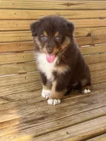 processed/7a13fc8e-257a-4520-a6c4-fc4c3138298f/facility/42796410-5dc8-41b5-aff9-88528a751029