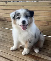 processed/7a13fc8e-257a-4520-a6c4-fc4c3138298f/facility/4b14eba1-d4b0-4511-93ad-8a893a29130e