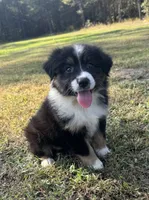 processed/7a13fc8e-257a-4520-a6c4-fc4c3138298f/facility/e248fa35-2228-48fb-807a-fe6dde318471