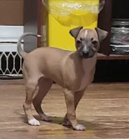 processed/7a149de8-cd1b-4a1a-aad2-032c2c3c2138/listing/36071553-d21f-412b-a093-b077a2648b5a/087f5305-9214-4921-98e7-ce04ccbaa186