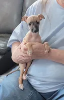 processed/7a149de8-cd1b-4a1a-aad2-032c2c3c2138/listing/36071553-d21f-412b-a093-b077a2648b5a/167af840-8aee-4315-a8af-fcbec07062d6