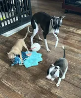 processed/7a149de8-cd1b-4a1a-aad2-032c2c3c2138/listing/36071553-d21f-412b-a093-b077a2648b5a/20450d02-c59e-44a7-9285-e30e1d2359bf