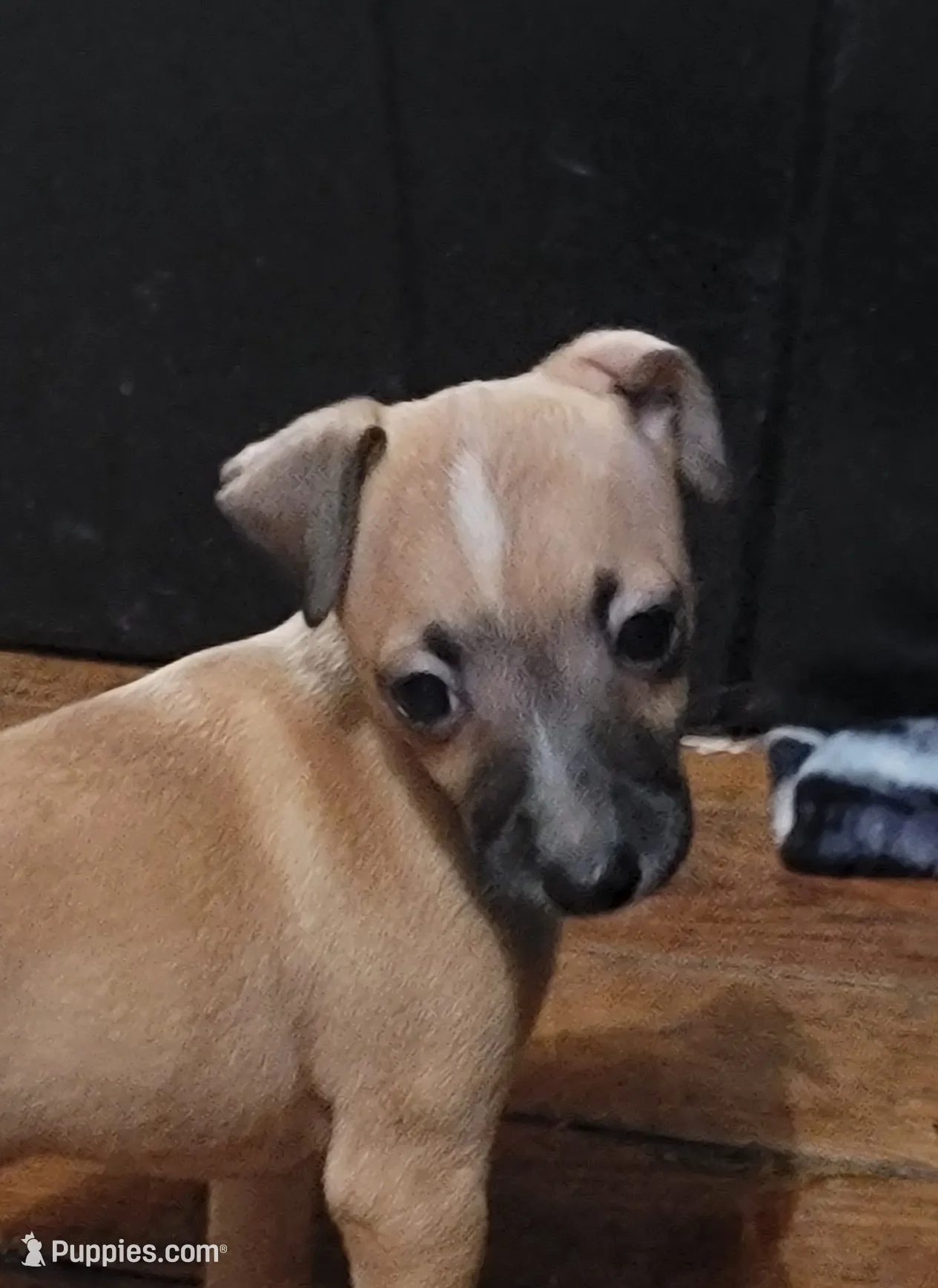 processed/7a149de8-cd1b-4a1a-aad2-032c2c3c2138/listing/36071553-d21f-412b-a093-b077a2648b5a/205f1077-f039-4f87-8ef1-40a680167f2a