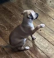 processed/7a149de8-cd1b-4a1a-aad2-032c2c3c2138/listing/36071553-d21f-412b-a093-b077a2648b5a/60001bb4-b912-4f20-9fce-b4845f6ab019