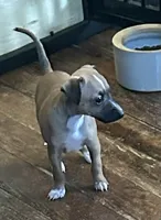 processed/7a149de8-cd1b-4a1a-aad2-032c2c3c2138/listing/36071553-d21f-412b-a093-b077a2648b5a/6bf4ac47-af39-4efe-bd98-3dc9b4bba96f