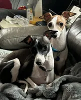 processed/7a149de8-cd1b-4a1a-aad2-032c2c3c2138/listing/36071553-d21f-412b-a093-b077a2648b5a/aa8e93ac-b18e-409b-8f81-c4712de30400