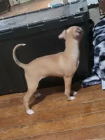 processed/7a149de8-cd1b-4a1a-aad2-032c2c3c2138/listing/36071553-d21f-412b-a093-b077a2648b5a/bd6a3288-f09e-4f23-8780-cd6479d227d0