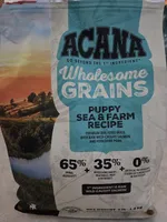 Miso, a male Shih Tzu for sale in Spokane, WA – Photo 6 of 6