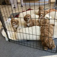 Facility photo