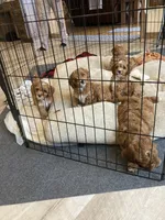 processed/7a28dc0b-a5e8-40cb-89a6-ac23a78d59e5/facility/13d468ca-d998-4d22-a94e-e382de2e3ca1