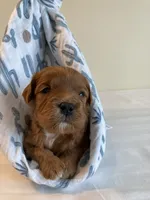 processed/7a28dc0b-a5e8-40cb-89a6-ac23a78d59e5/facility/50f90fa5-4ea2-4c55-9ad0-c148d622ec40