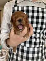 processed/7a28dc0b-a5e8-40cb-89a6-ac23a78d59e5/facility/701258ec-fea5-4304-95be-b175ead782e1