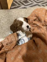 processed/7a28dc0b-a5e8-40cb-89a6-ac23a78d59e5/facility/8a9d956f-a6d2-47a5-a40e-17135a7f5024