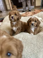 processed/7a28dc0b-a5e8-40cb-89a6-ac23a78d59e5/facility/e3b486c8-cb3c-4ecb-9fc6-f9f07ef97495