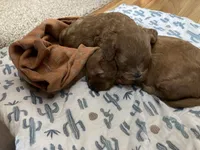 processed/7a28dc0b-a5e8-40cb-89a6-ac23a78d59e5/facility/f10ccd85-9d9c-4411-8a6f-5e34f811e6b4