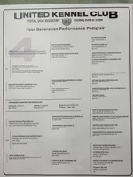 Black, a female English Coonhound for sale in Lincolnton, NC – Photo 9 of 9