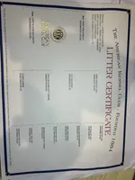 White male, a male Rottweiler for sale in North Franklin, CT – Photo 10 of 10