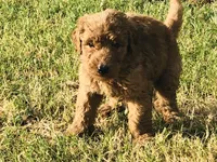 processed/7a43f638-a04c-42dd-936f-13a8fe22e396/facility/02a16820-1ddb-44fd-ba6b-880a4d1ebd84