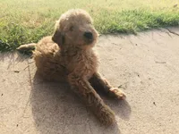 processed/7a43f638-a04c-42dd-936f-13a8fe22e396/facility/191ef52f-e48f-4d7c-909e-75cfc8d6c0df