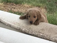 processed/7a43f638-a04c-42dd-936f-13a8fe22e396/facility/3707d687-cf8b-48f7-9bda-3a2261961a3c