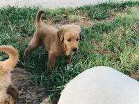 processed/7a43f638-a04c-42dd-936f-13a8fe22e396/facility/37b3668c-811a-4b3a-a833-8ae914fb0d2c