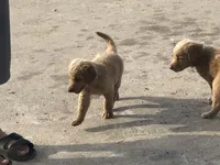 processed/7a43f638-a04c-42dd-936f-13a8fe22e396/facility/582656e2-1045-4c67-b7a9-683acef51855