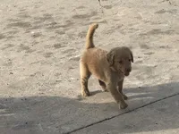 processed/7a43f638-a04c-42dd-936f-13a8fe22e396/facility/62cea1bd-05f8-448b-87a0-aebc15dc0ea6