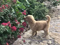 processed/7a43f638-a04c-42dd-936f-13a8fe22e396/facility/6382e348-7e29-4280-aff0-e26b03318b50