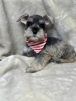 processed/7a4c691e-a504-4eac-8024-e0e6d1982cc7/listing/cab3e609-d6a0-4c8d-b161-30a1de85fae3/e98c5a61-2620-40d1-a6b6-5b6c14ef0874