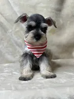 processed/7a4c691e-a504-4eac-8024-e0e6d1982cc7/listing/cab3e609-d6a0-4c8d-b161-30a1de85fae3/ede744af-185b-40be-a9c3-cdc21bef6654